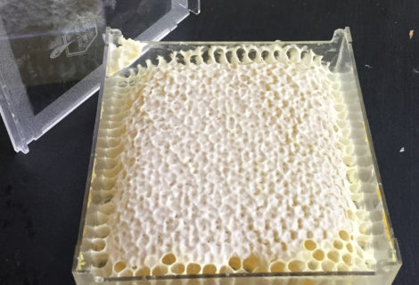 Natural Comb Honey